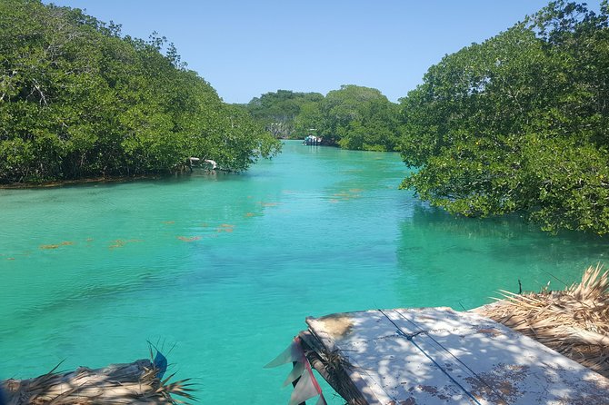 East End Tour (Mangroves, Punta Gorda, Port Royal) With Snorkeling Option - Tour Overview and Highlights