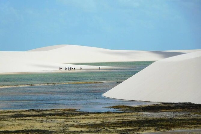 Ecological Trekking 4 Days - by Costa Leste Ecoaventura - Overview and Recommendations