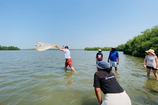 Ecotour and Fishing in Natural Mangroves of Cartagena - Good To Know