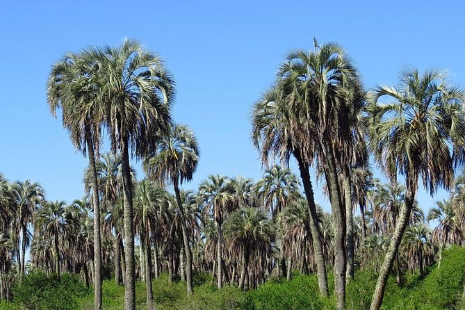El Palmar National Park Admission Ticket - Good To Know