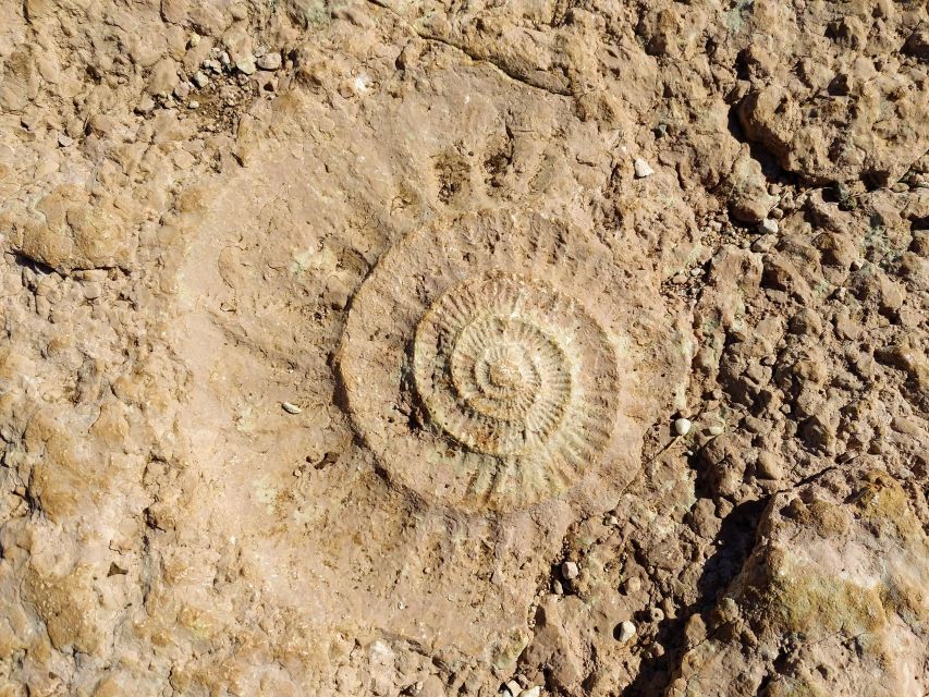 El Torcal De Antequera Hike With Transfer - Good To Know