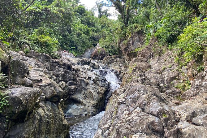 El Yunque Rainforest Morning River and Hike Adventure - Tour Overview
