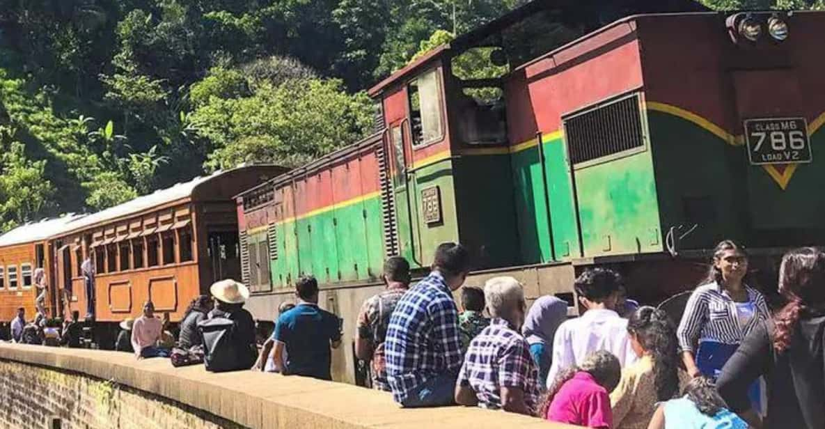 Ella: Calypso Special Observation Train From/To Badulla - Overview and Pricing