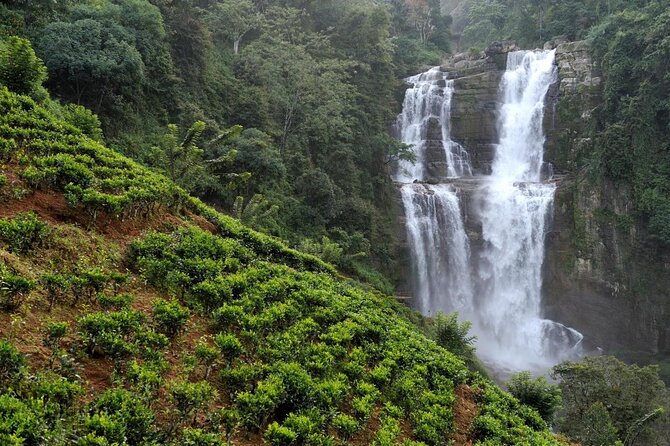 Ella Private Day Tour From Kandy - Good To Know