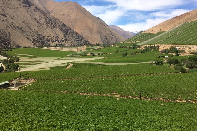 Elqui Valley Full Day Tour: Magical Towns, Pisco and Mountains - Good To Know