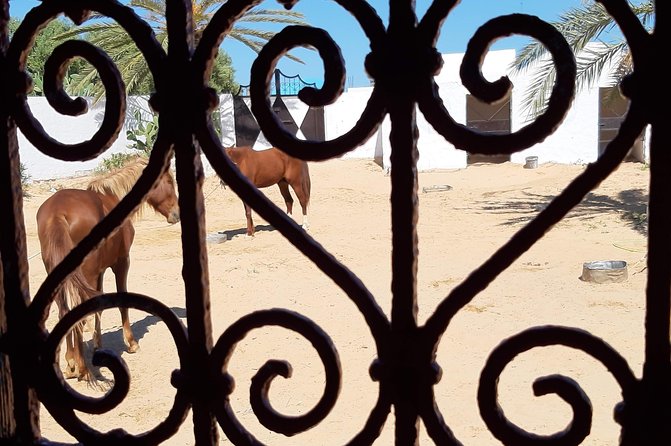 Equestrian Rides - Good To Know