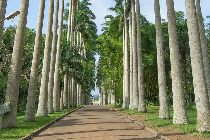 Escape Accra City to Aburi Gardens and Tetteh Quarshie Cocoa Farms