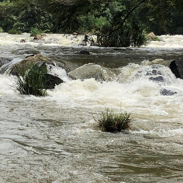 Escape Into Wilderness Jet Ski Safari - Good To Know