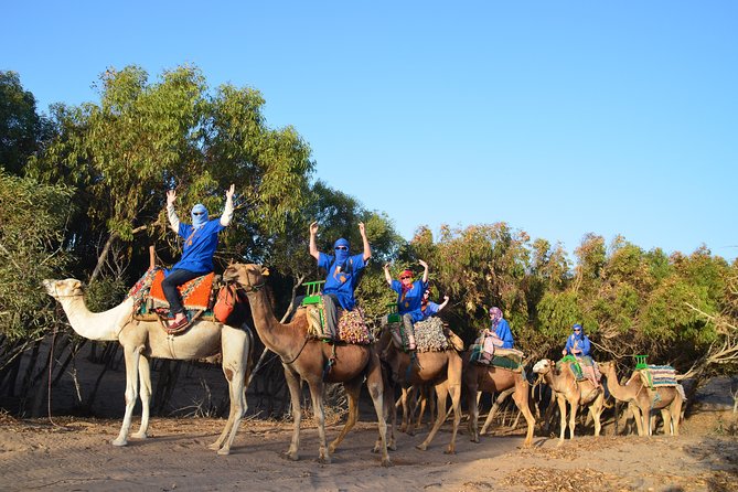Essaouira 2-Hour Camel Adventure Ride - Good To Know