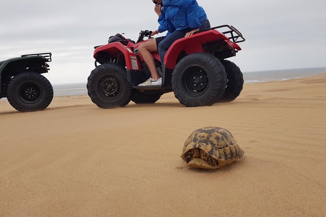 Essaouira: 2-Hour Quad Ride (Free Transfer) - Good To Know