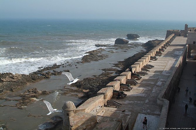 Essaouira Full-Day Trip From Marrakech - Itinerary Highlights