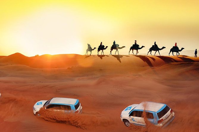 Evening Desert Safari With Camel Ride, BBQ Dinner and Dune Bashing - Tour Overview and Highlights