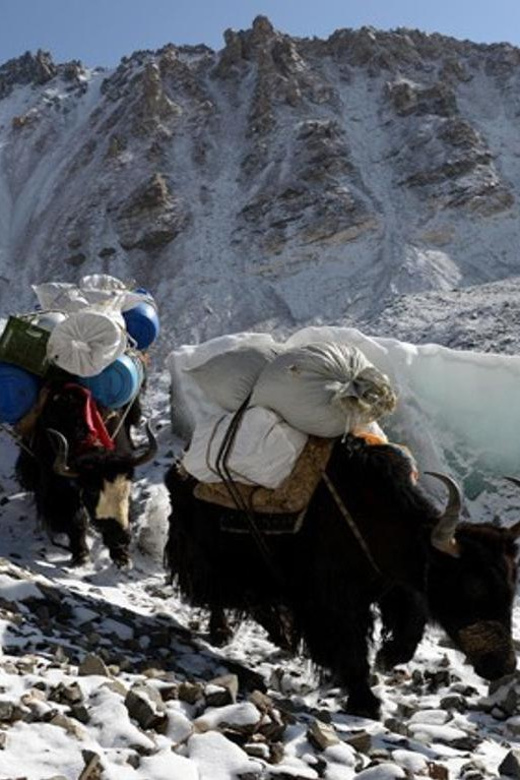 Everest Advanced Base Camp: The Thrill of High Altitude Trek - Good To Know