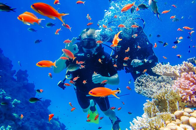 Exciteful Scuba Diving Experience in Antalya - Good To Know