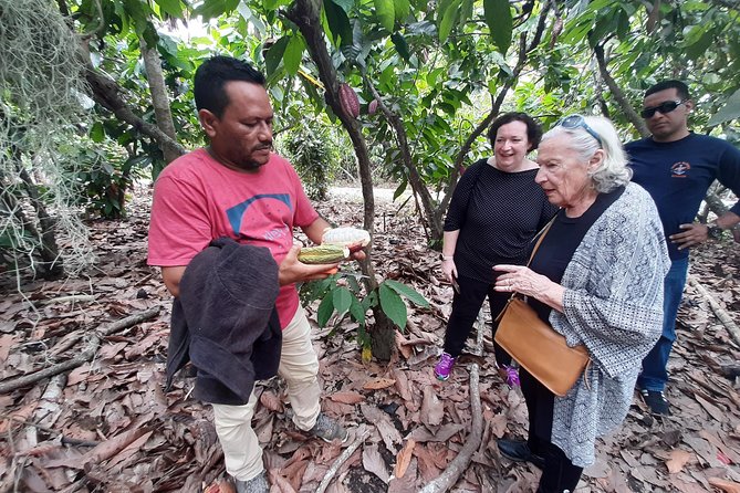 Excursion Day to Cocoa Farm From Guayaquil - Good To Know