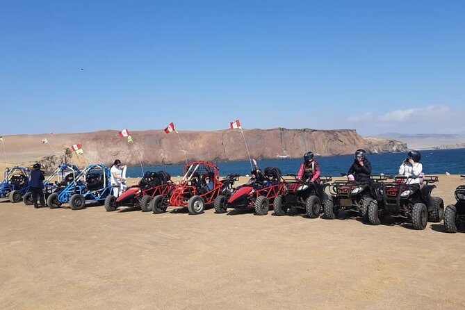 Excursion in Minibuggys in Paracas National Reserve - Good To Know