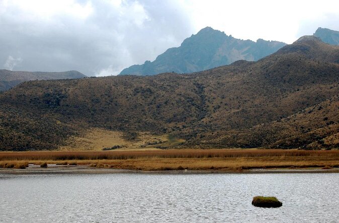 Excursion to Cotopaxi National Park and Limpiopungo Lagoon