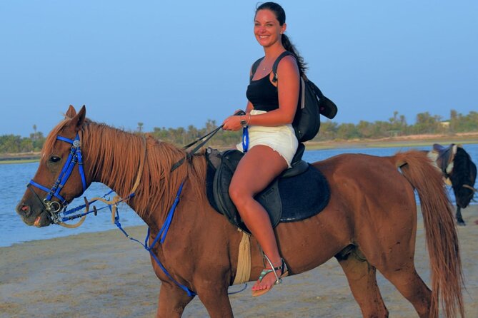 Explore Djerba With Our Four-Legged Friends - Good To Know