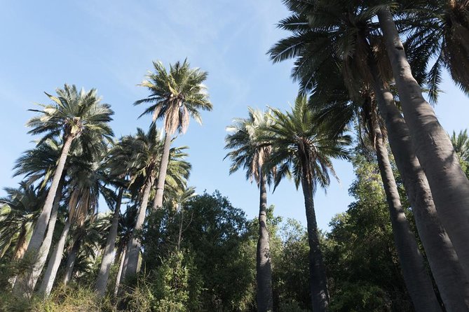 Explore the Coastal Mountains - Private Day Trip From Santiago - Good To Know