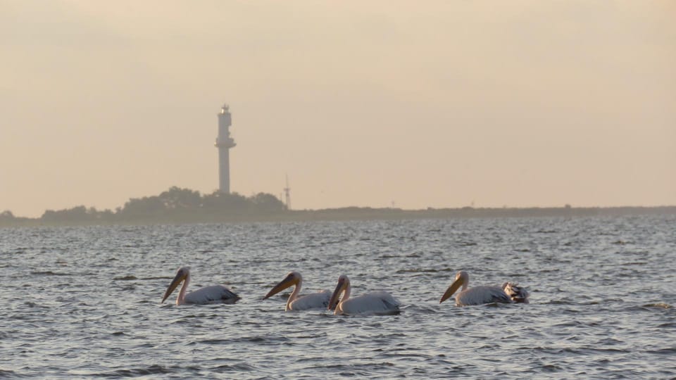 Exploring the Magic of the Danube Delta Through Photo Lenses - Good To Know