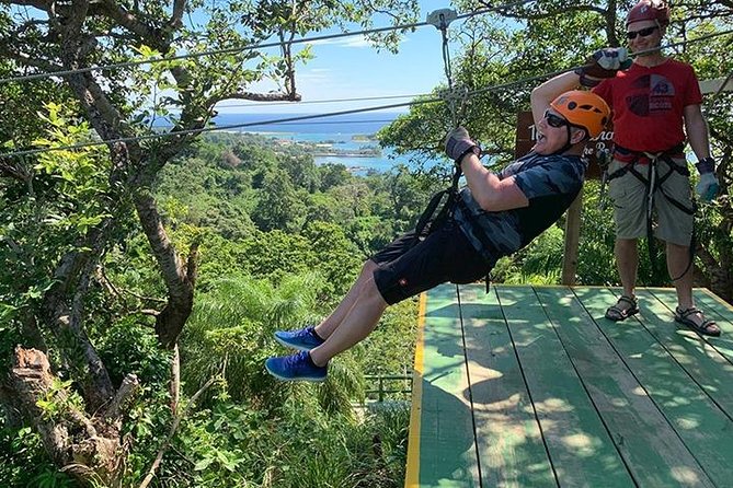 Extreme Zipline, FREE Sloth & Monkey, Beach & Private Transportation