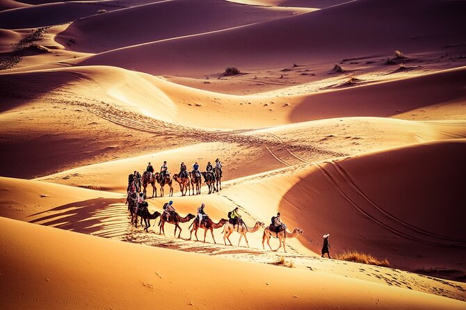 Fes to Marrakech 3 Days Desert Tour - Good To Know