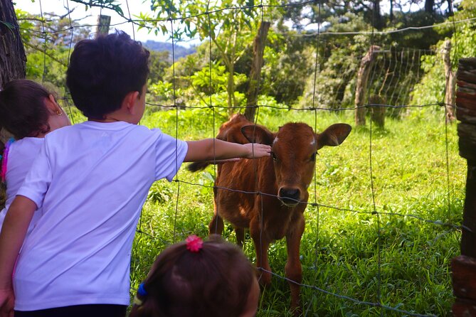 Finca El Paraiso Farm Cheese Tour in Monteverde - Good To Know