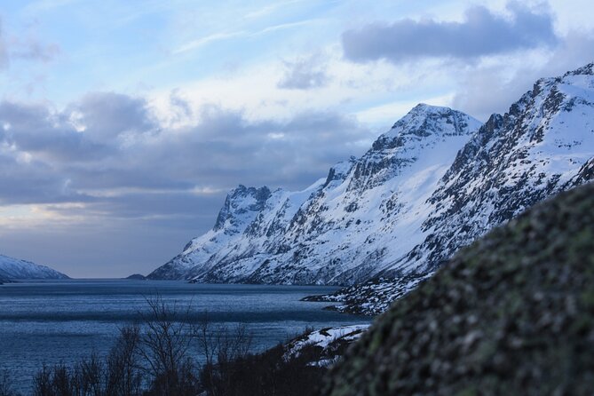 Fjord Adventure With Local - Key Points