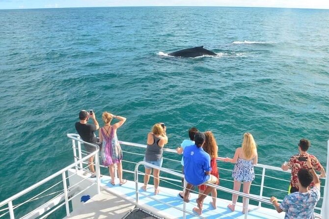 Flamingo Family Fun Catamaran Snorkel:Comfortable Shaded Seating - Good To Know