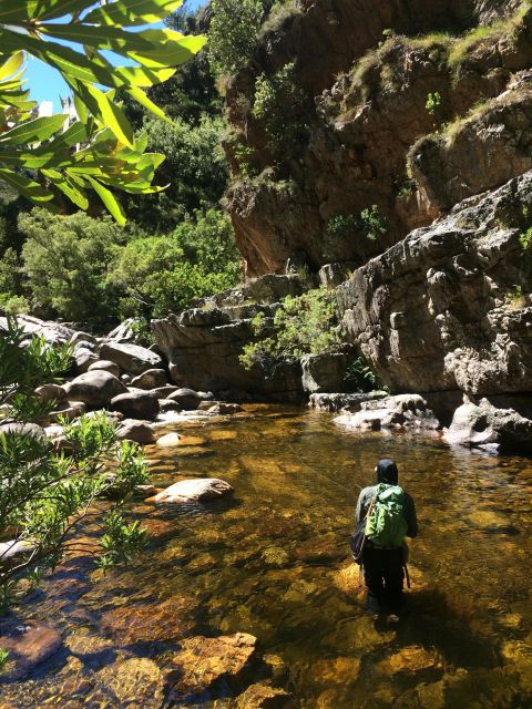 Fly Fishing in Cape Town - Good To Know