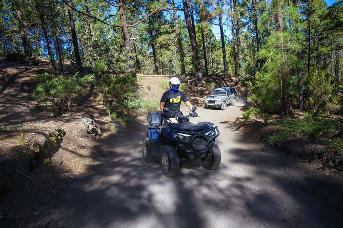 Forest & Off Road National Park Quad Biking Tour - Good To Know