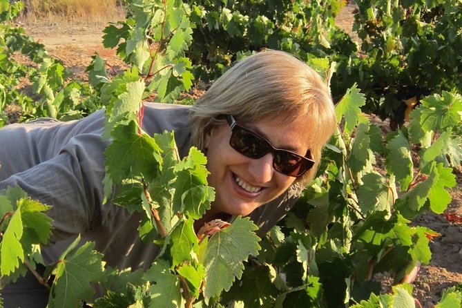 Forget About Driving and Enjoy the Ribera Del Duero!!! - Good To Know