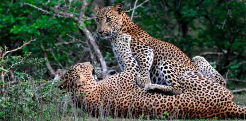 Four-Day Luxury Camping and Photography Expedition - Good To Know