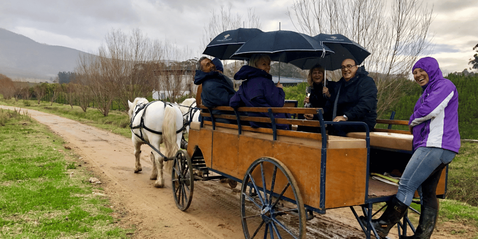 Franschhoek: Vrede En Lust Wine Estate 1H Carriage Ride - Good To Know