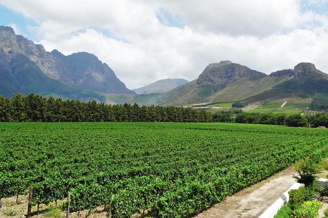 Franschhoek Winelands Meander © - Good To Know