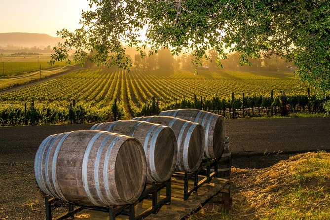 Fredericksburg Wine Tour With Three Winery Stops Plus Lunch