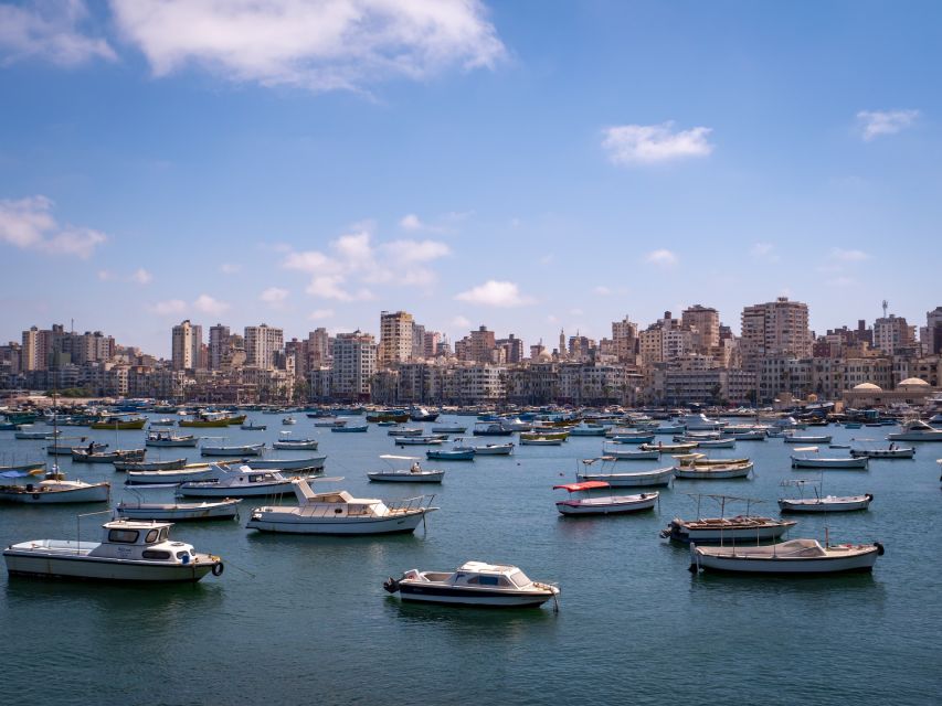 From Alexandria: Highlights of Alexandria Full City Tour - Good To Know