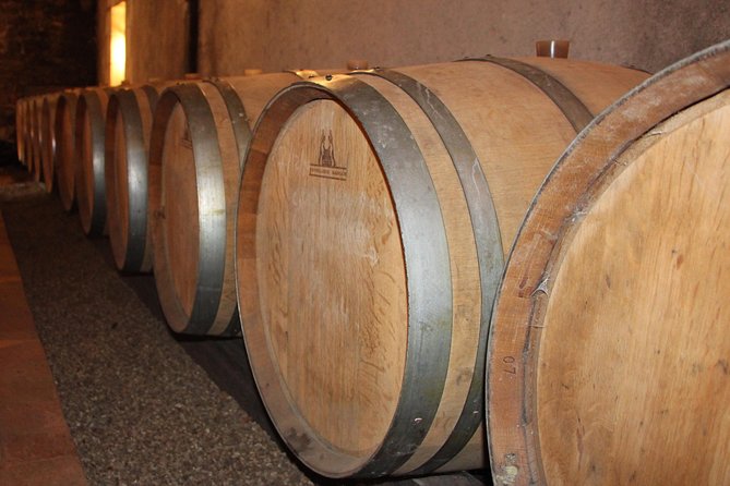 From Angers – Anjou Vineyards in Minivan