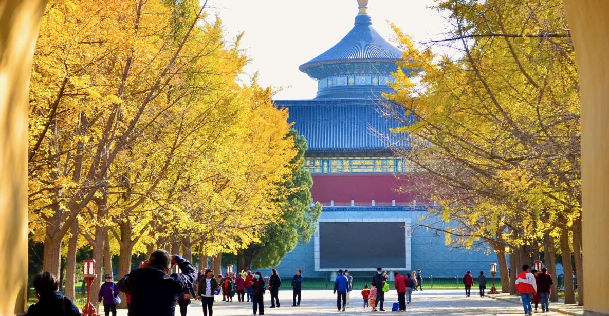 From Beijing: 3-Day Private Tour To Datong - Good To Know