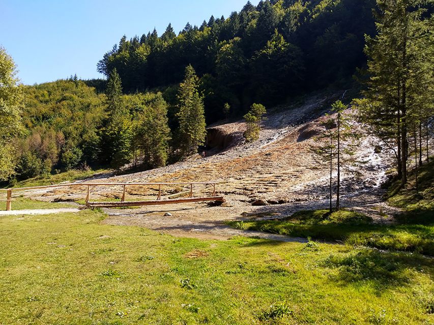 From Brasov: Day Trip to Bison Reserve & Traditional Lunch - Good To Know