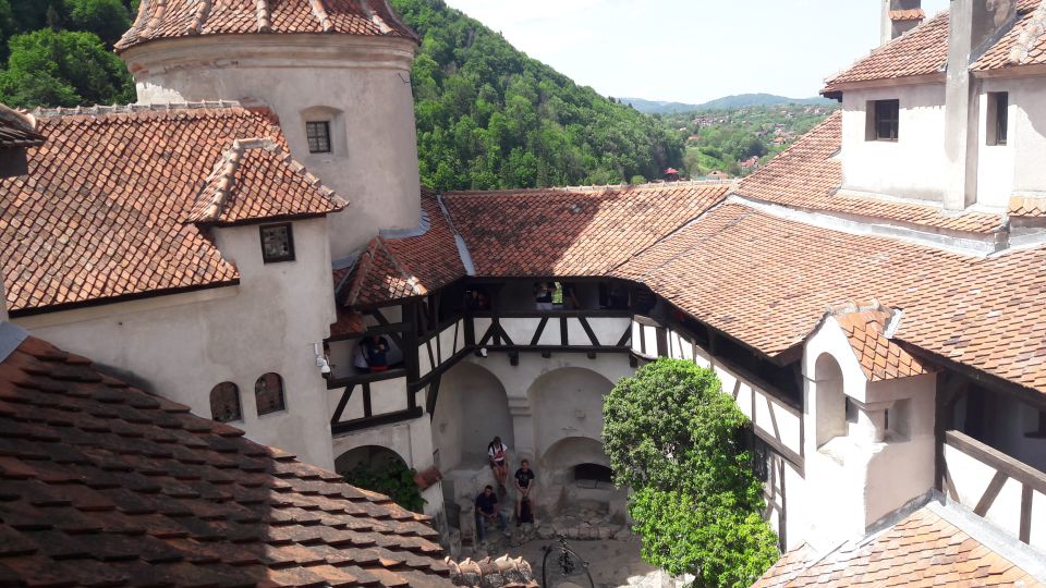 From Brasov: Peles Castle, Bran Castle & Cantacuzino Castle - Good To Know