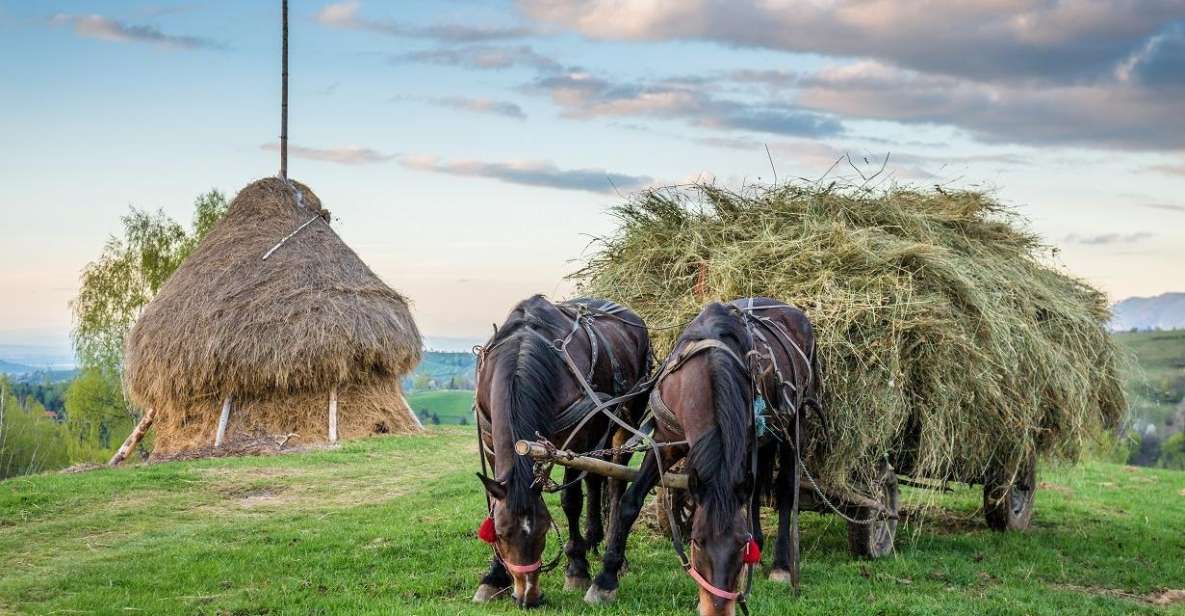 From Bucharest: 3-Day Bucovina & Transylvania Tour - Good To Know