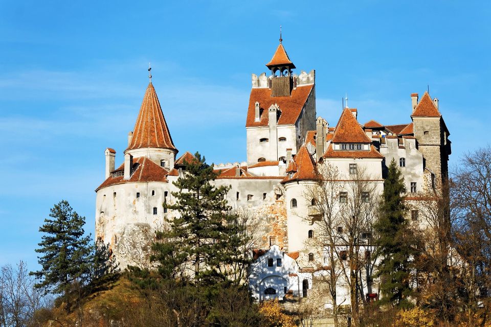 From Bucharest: Libearty Bear Sanctuary and Draculas Castle - Good To Know