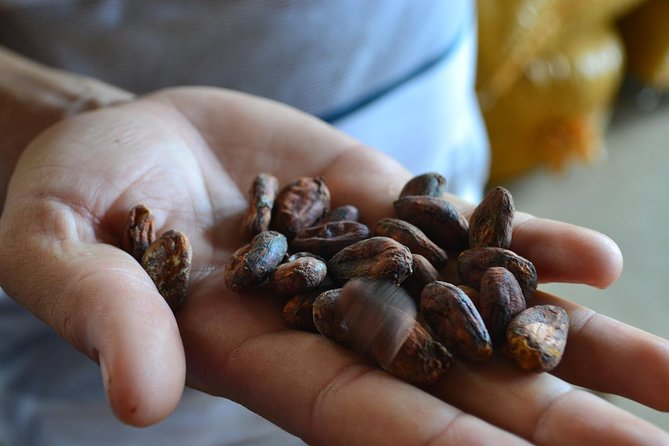 From Cacao to Chocolate: Private Tour in Manta - About Your Stay