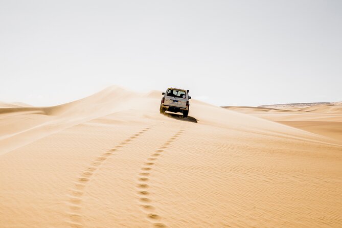 From Cairo: Desert Safari, Waterfalls, Sand Boarding and Camel Ride With Lunch - Good To Know