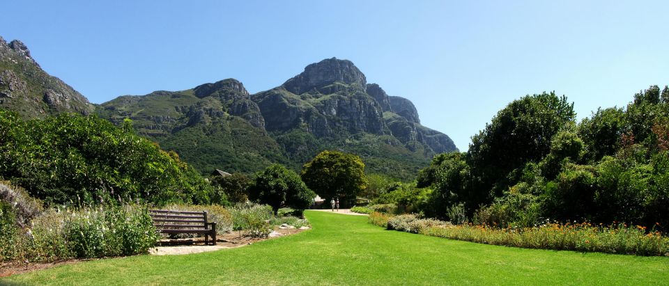 From Cape Town: Cape Peninsula Full-Day Guided Tour - Exploring Hout Bay