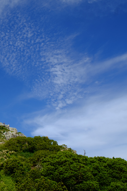 From Cape Town: Cape Point and Boulders Beach Half-Day Tour - Good To Know