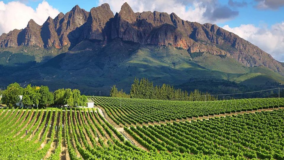 From Cape Town: Full-Day Cape Winelands Tour - Good To Know