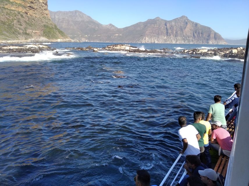 From Cape Town: Glass-Bottom Boat Seal Watching Tour - Good To Know