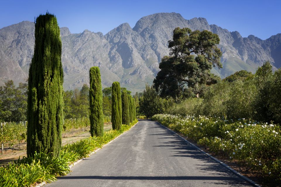 From Cape Town: Private Cape Winelands Tour - Good To Know